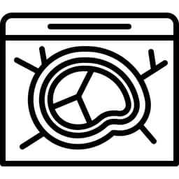 Plastik Vakum